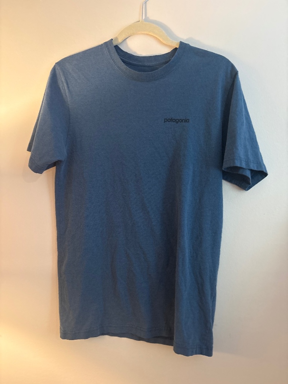 Patagonia blue tshirt small